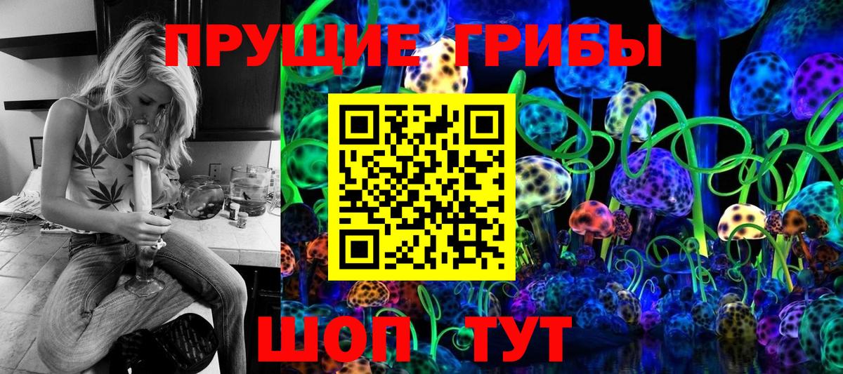 Псилоцибиновые грибы Psilocybine cubensis Котлас